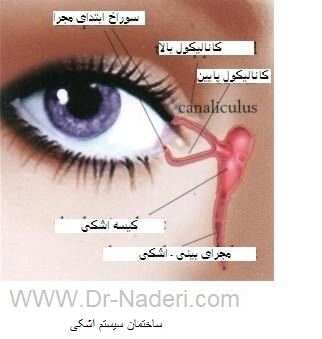 lacrimal system anatomy اناتومی سیستم اشکی