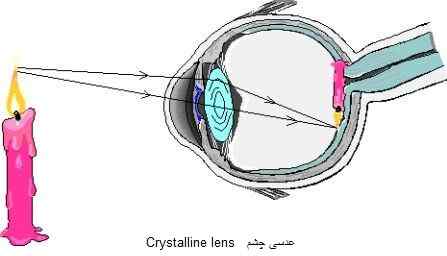 Crystalline lensعدسی چشم