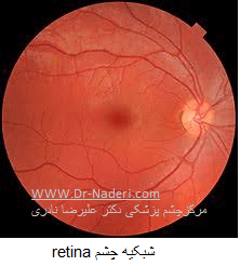 شبکیه چشم retina